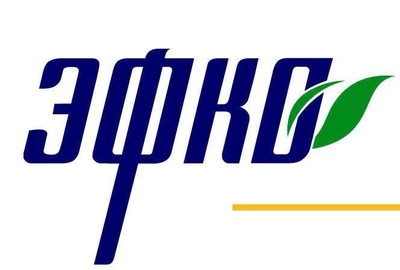 logo_efko_400
